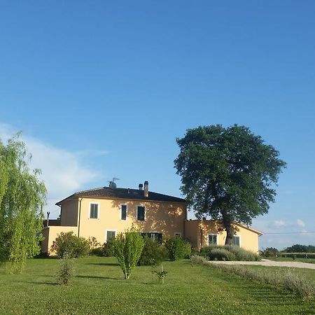 B&B Le Rose สเปลโล ภายนอก รูปภาพ